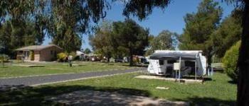 Fossicker Caravan Park Glen Innes Exteriér fotografie